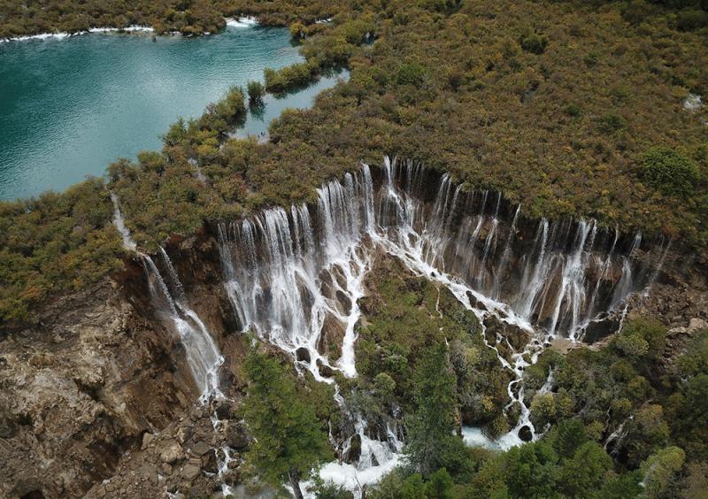 英亚官网首页_春季美食推荐:土豆茄子、酱香茶树菇、泡椒炒香干的做法(图1) 英亚官网