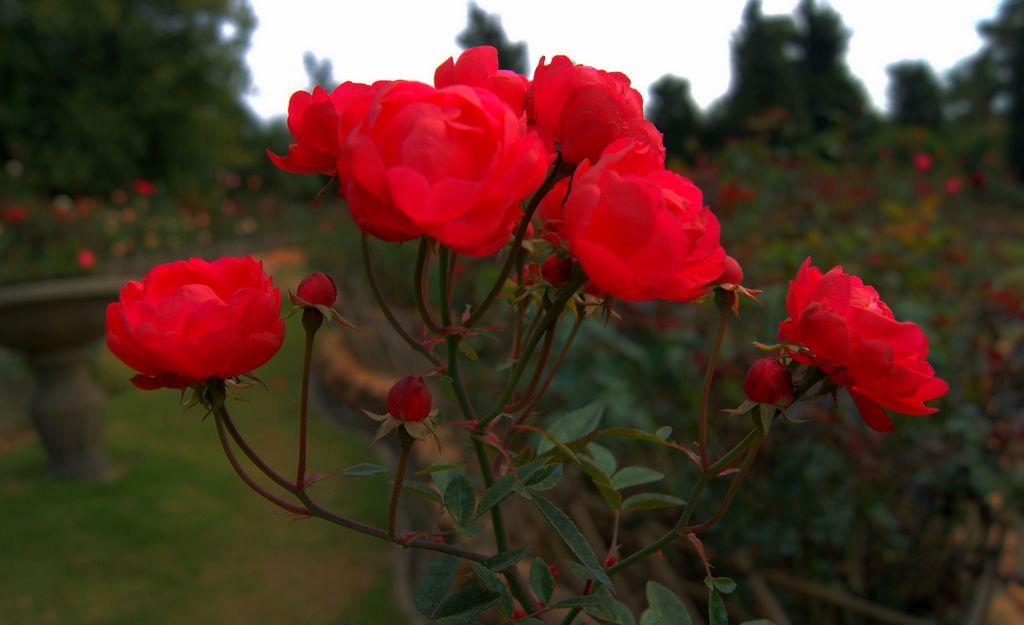 英亚官网-美食推荐:煎小黄鱼,干煸土豆条,京酱鸡蛋的做法(图2) 英亚官网首页