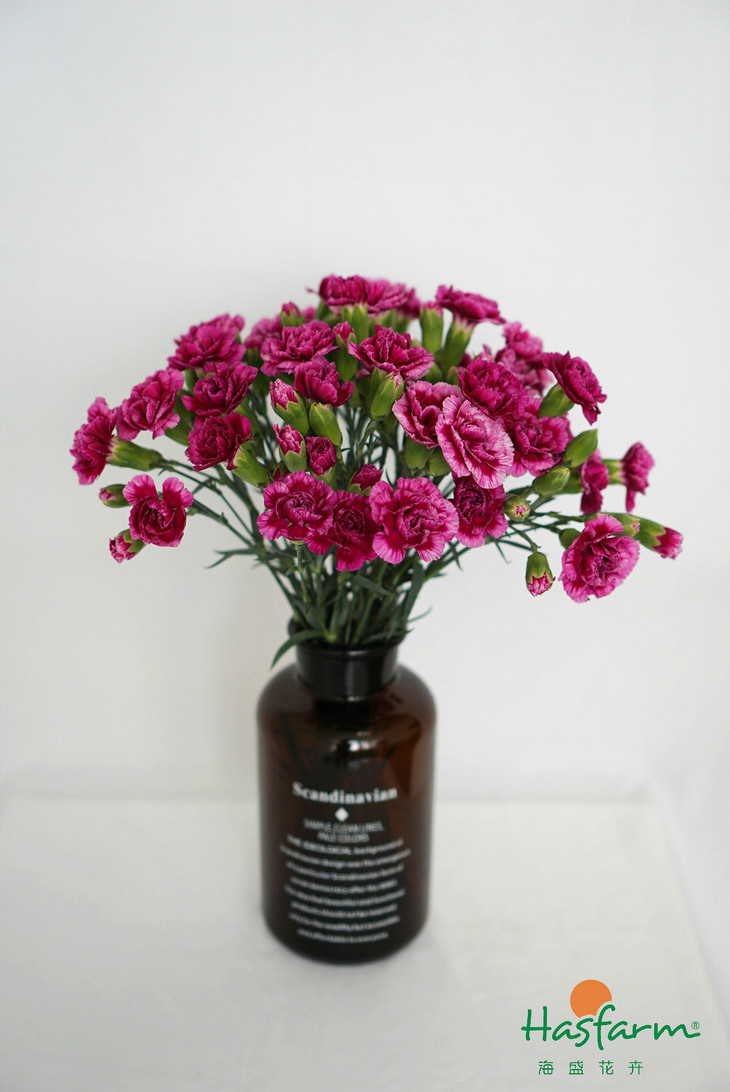 英亚官网-美食推荐:煎小黄鱼,干煸土豆条,京酱鸡蛋的做法(图3) 英亚官网首页