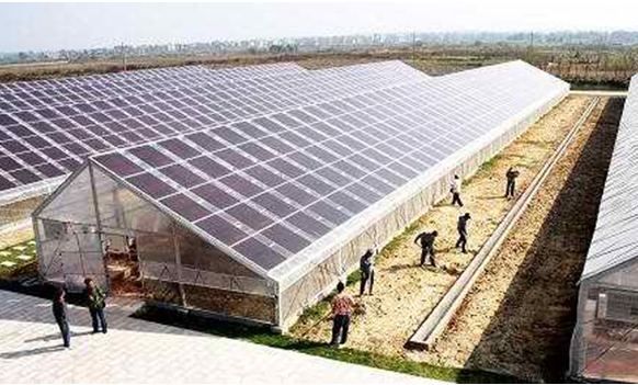 ‘英亚官方网站’美食推荐:苦瓜炒虾皮、草鱼冬瓜汤、酸甜草鱼、麻辣金针菇的做法(图3) 英亚官方网站